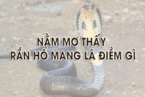 nằm mơ thấy rắn đánh con gì